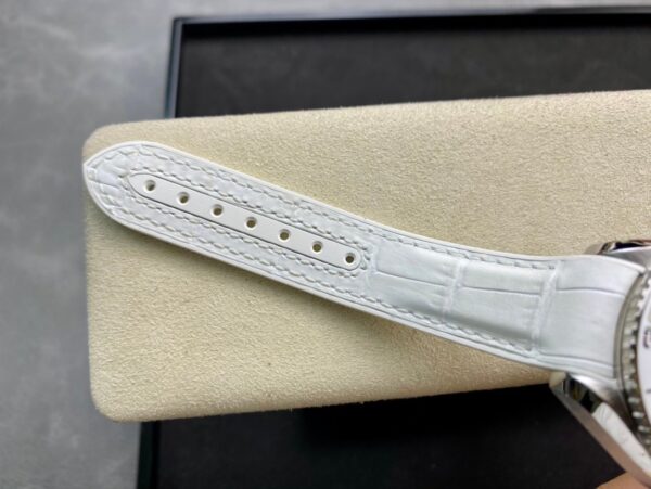 Omega Seamaster Planet Ocean